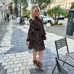 Leopard Print Long Sleeve Dress